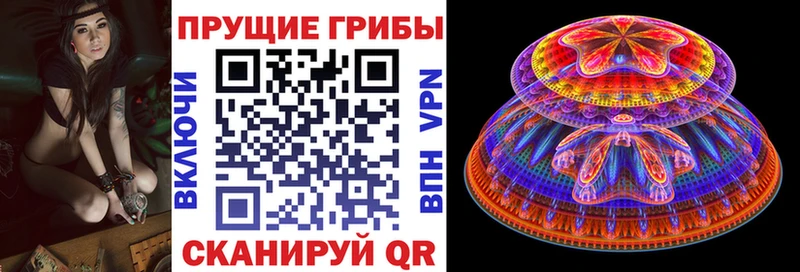 mega маркетплейс  Большой Камень  Галлюциногенные грибы мицелий 